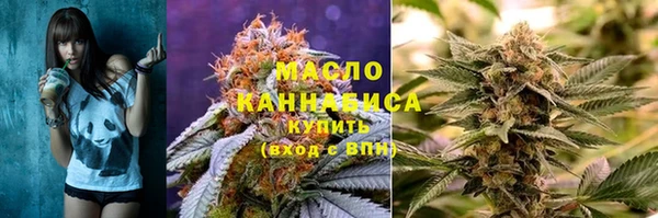 крисы Ростов