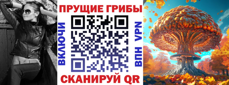 блэк спрут маркетплейс  Кулебаки  Псилоцибиновые грибы Cubensis 